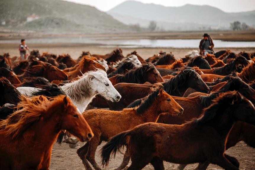 wild horses expelled from herds